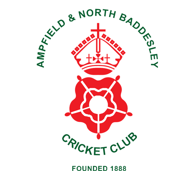 Ladies Cricket